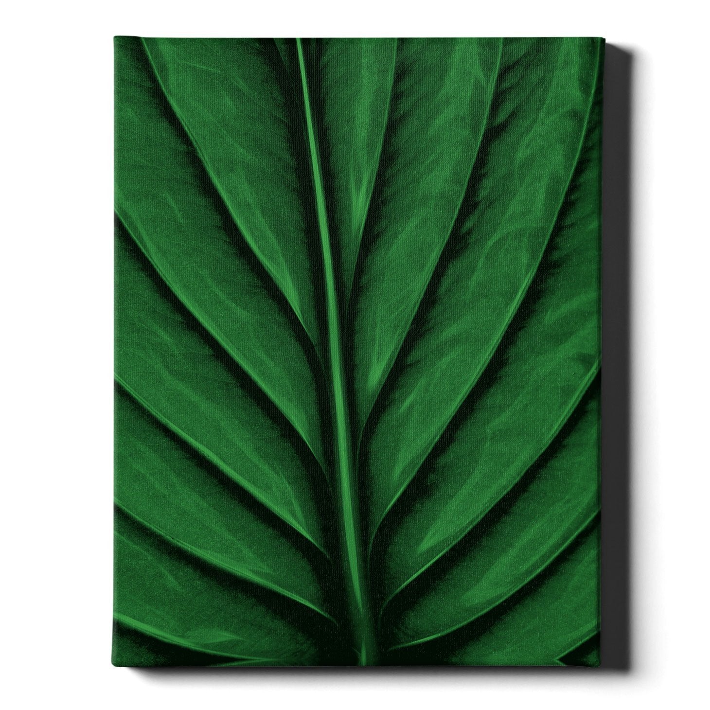 A Leaf